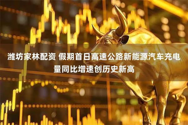 潍坊家林配资 假期首日高速公路新能源汽车充电量同比增速创历史新高