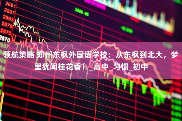 领航策略 郑州东枫外国语学校：从东枫到北大，梦里犹闻桂花香！_高中_习惯_初中