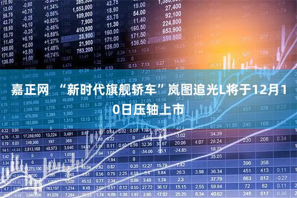 嘉正网  “新时代旗舰轿车”岚图追光L将于12月10日压轴上市